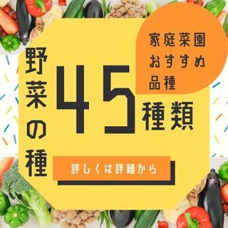 野菜の種　全45種類！1年中蒔ける　オールシーズン　超バリエーションセット固定種(野菜)