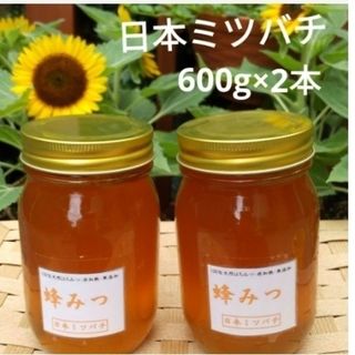 日本ミツバチの蜂蜜   600×2本(その他)