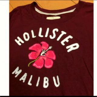 ホリスター(Hollister)のホリスターマリブエンジコットンカットソ(Tシャツ(半袖/袖なし))