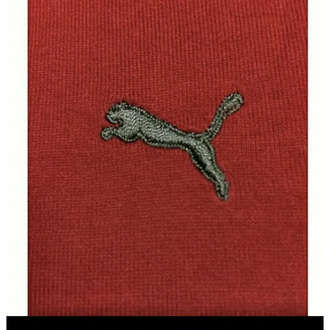 PUMA(プーマ)のPUMAレッド✖️ブラウンラグランコットンT レディースのトップス(Tシャツ(半袖/袖なし))の商品写真