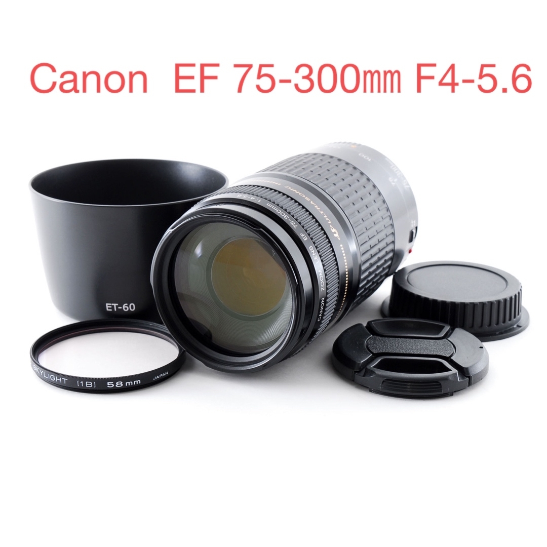 高い品質 フード付き☆キヤノン☆人気の望遠レンズ EF75-300㎜ Canon 高い品質 フード付き☆キヤノン☆人気の望遠レンズ EF75-300㎜ Canon