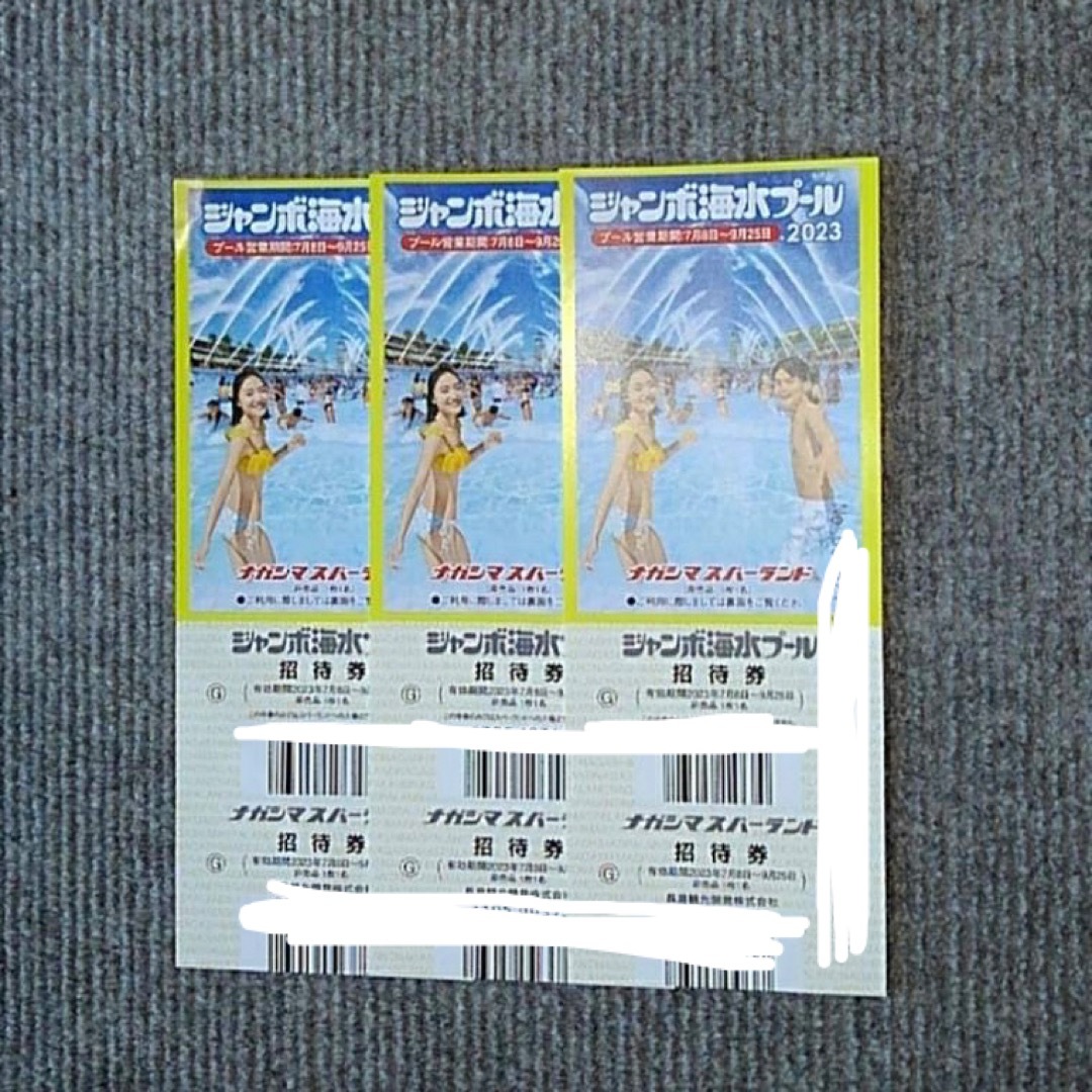 専用ページ　長島ジャンボ海水プール　チケット　1枚 チケットの施設利用券(遊園地/テーマパーク)の商品写真