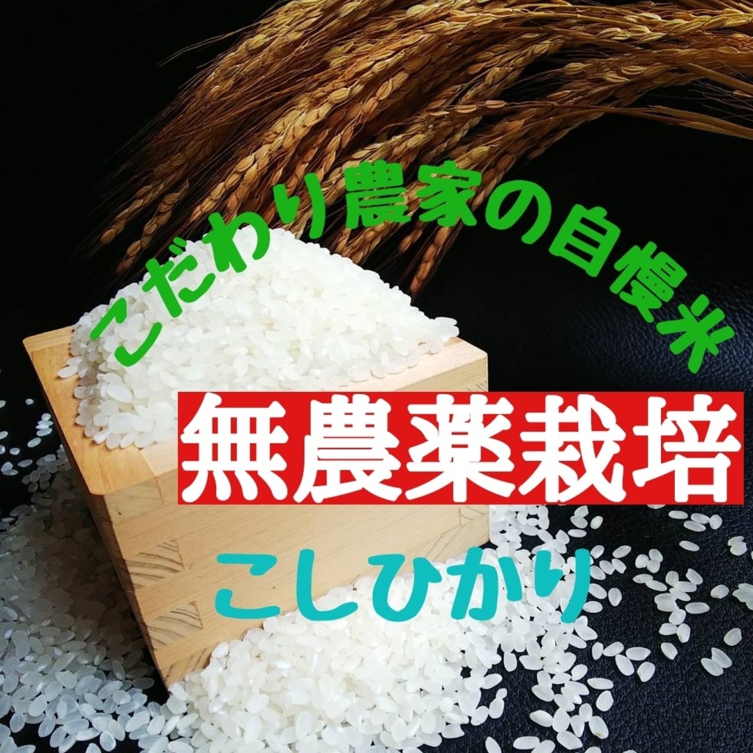 こだわり農家の自慢米　令和4年産　白米10㎏✕2袋(無農薬栽培)　米/穀物