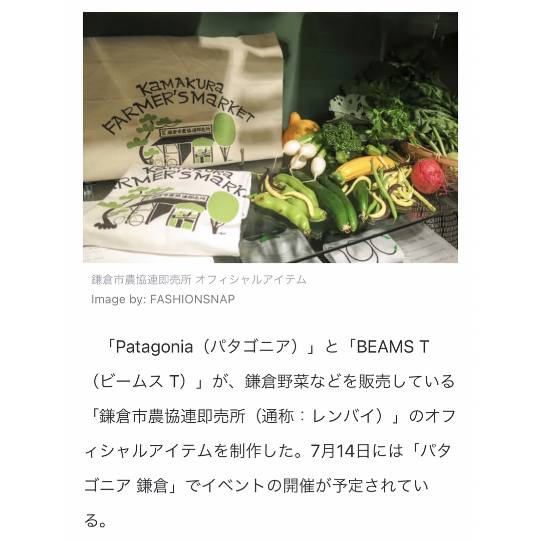 patagonia(パタゴニア)の花井祐介　シルクスクリーン　鎌倉　農協　パタゴニア　ビームス　Patagonia エンタメ/ホビーの美術品/アンティーク(版画)の商品写真