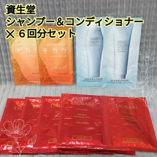 シセイドウ(SHISEIDO (資生堂))の資生堂 プロフェッショナル シャンプー コンディショナー ‪✕‬ ６回分 セット(シャンプー/コンディショナーセット)