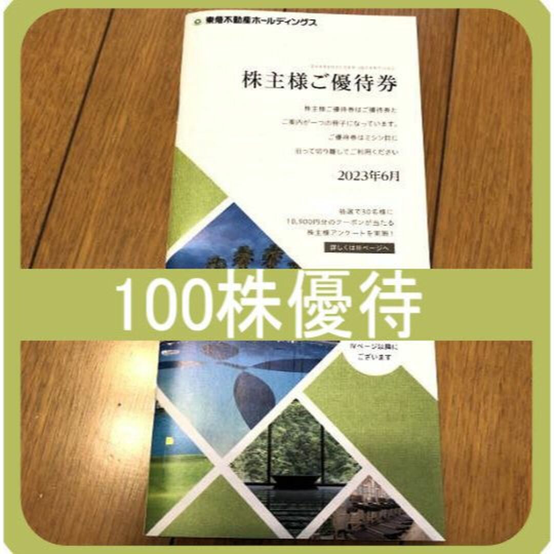 東急不動産 株主優待 冊子 100株 ホテルハーヴェスト ゴルフ場他2冊 チケットの施設利用券(その他)の商品写真