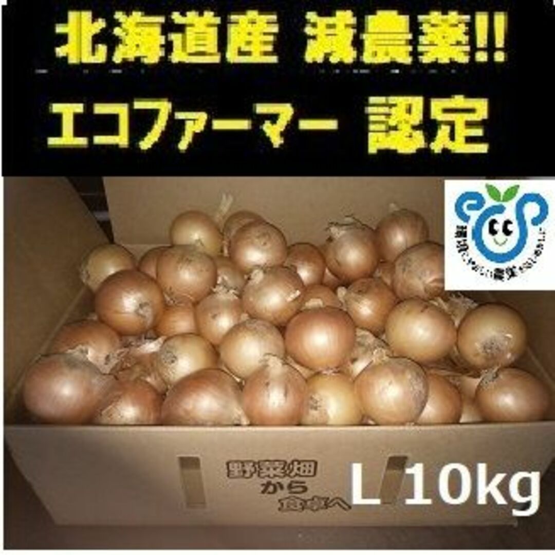 北海道産玉ねぎ Lサイズ10kg 食品/飲料/酒の食品(野菜)の商品写真