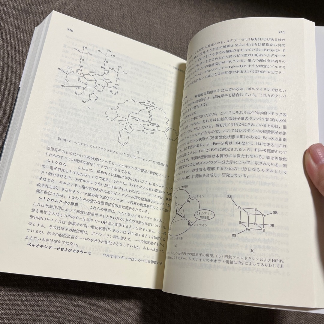 旺文社(オウブンシャ)の基礎無機化学 第３版 エンタメ/ホビーの本(科学/技術)の商品写真