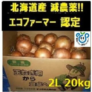 北海道産玉ねぎ  20kg 2Lサイズ(野菜)