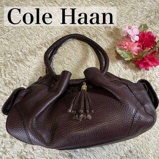 Cole Haan - 極美品 コールハーン クロコ柄 2way ハンドバッグ 
