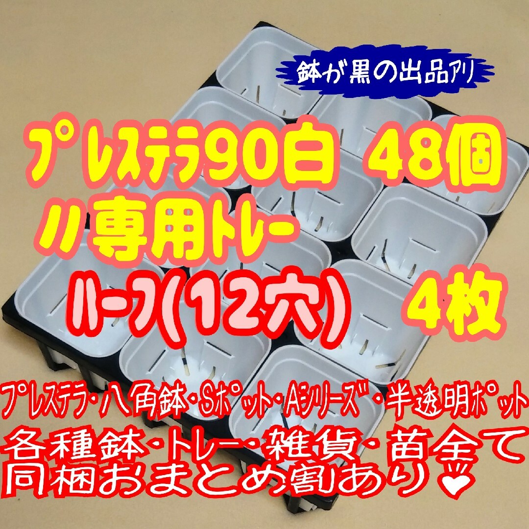 【スリット鉢】プレステラ90白48個＋専用システムトレー：ハーフ4枚プラ鉢多肉 | フリマアプリ ラクマ