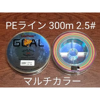 PEライン(4本編み),300m巻,2.5#(釣り糸/ライン)