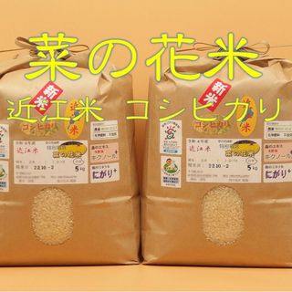 《こずま様専用》令和4年産☆特別栽培菜の花米☆20kg☆近江米コシヒ☆白米・玄米(米/穀物)