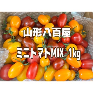 ミニトマト mix 1kg トマト 数量限定！ お試し価格(野菜)