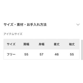 オリジナル商品 Deuxieme Classe クロップド ロングスリーブ Tシャツ