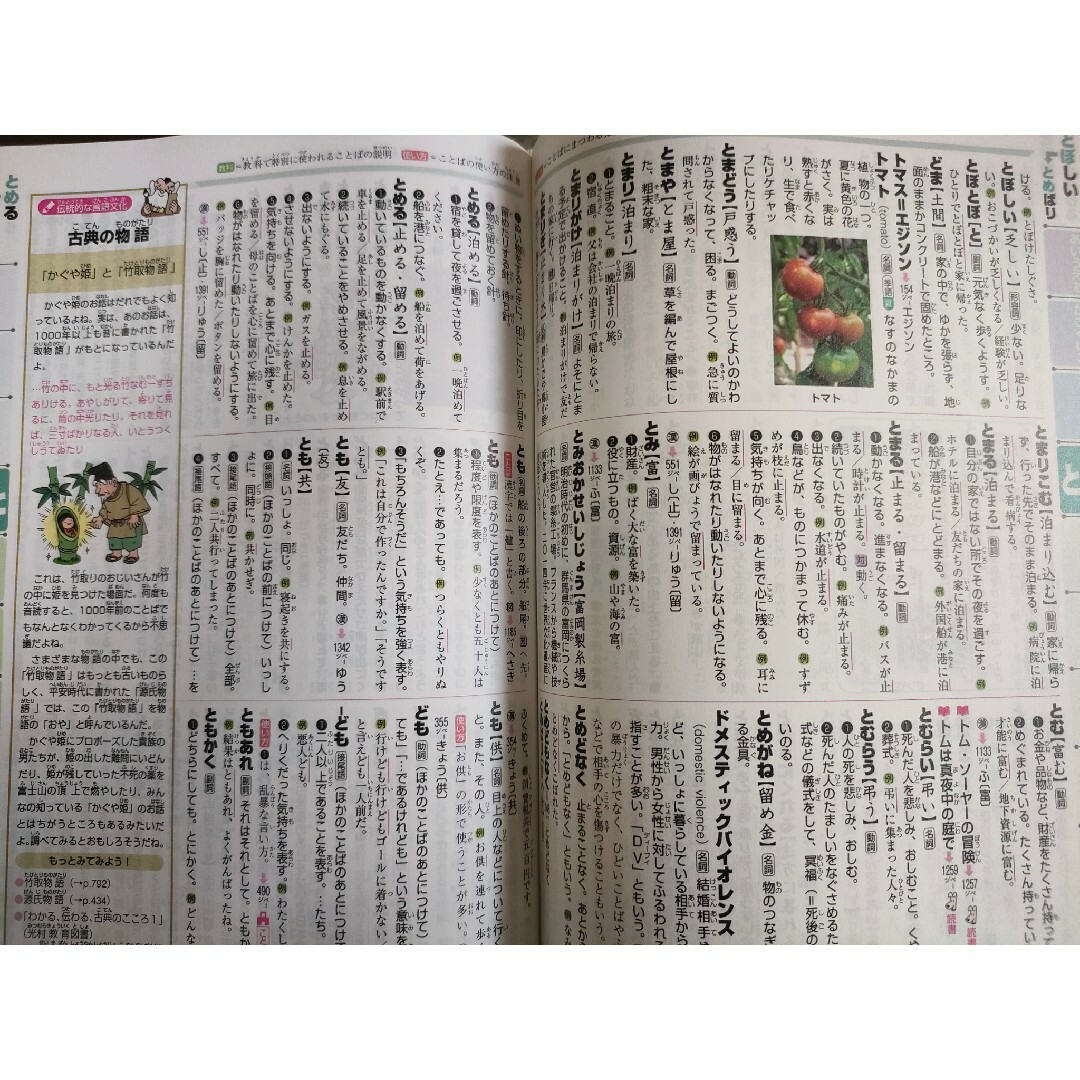 チャレンジ小学国語辞典 カラー版 エンタメ/ホビーの本(語学/参考書)の商品写真