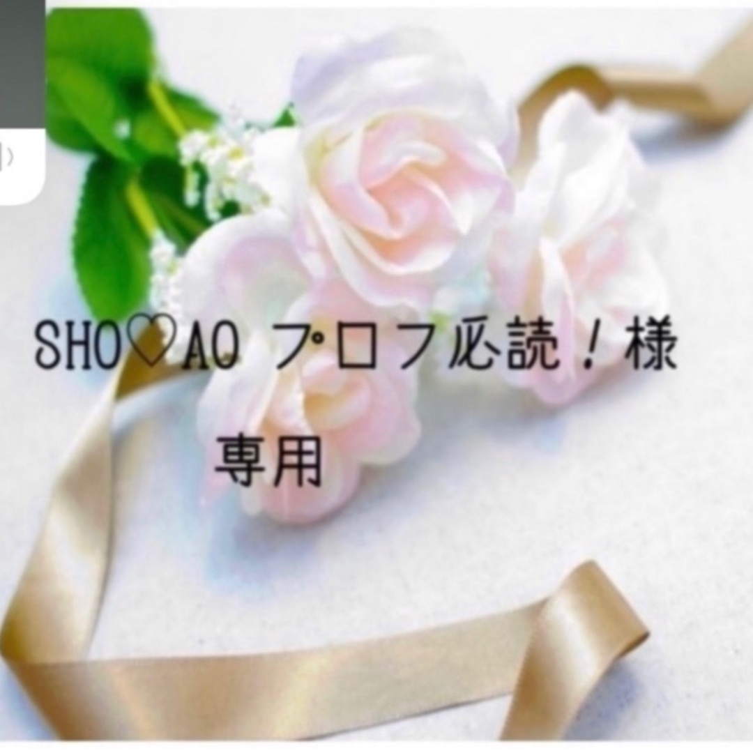 SHO♡AO プロフ必読　お米　令和4年　愛媛県産コシヒカリ　白米　10㎏