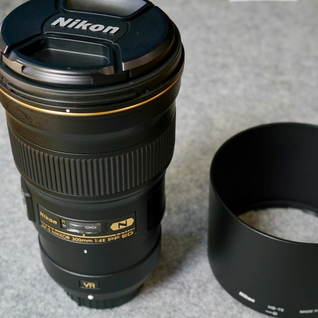 AF-S NIKKOR 300mm F4E PF ED