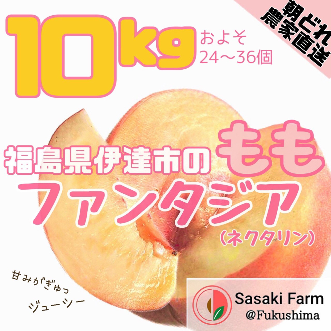 手土産【8月26日受注終了！】甘酸っぱいファンタジア 10kg