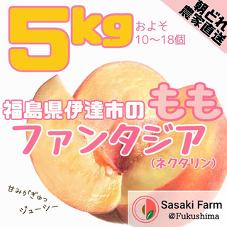【期間限定セール！！】甘酸っぱいファンタジア 5kgセット 12-18pcs(フルーツ)
