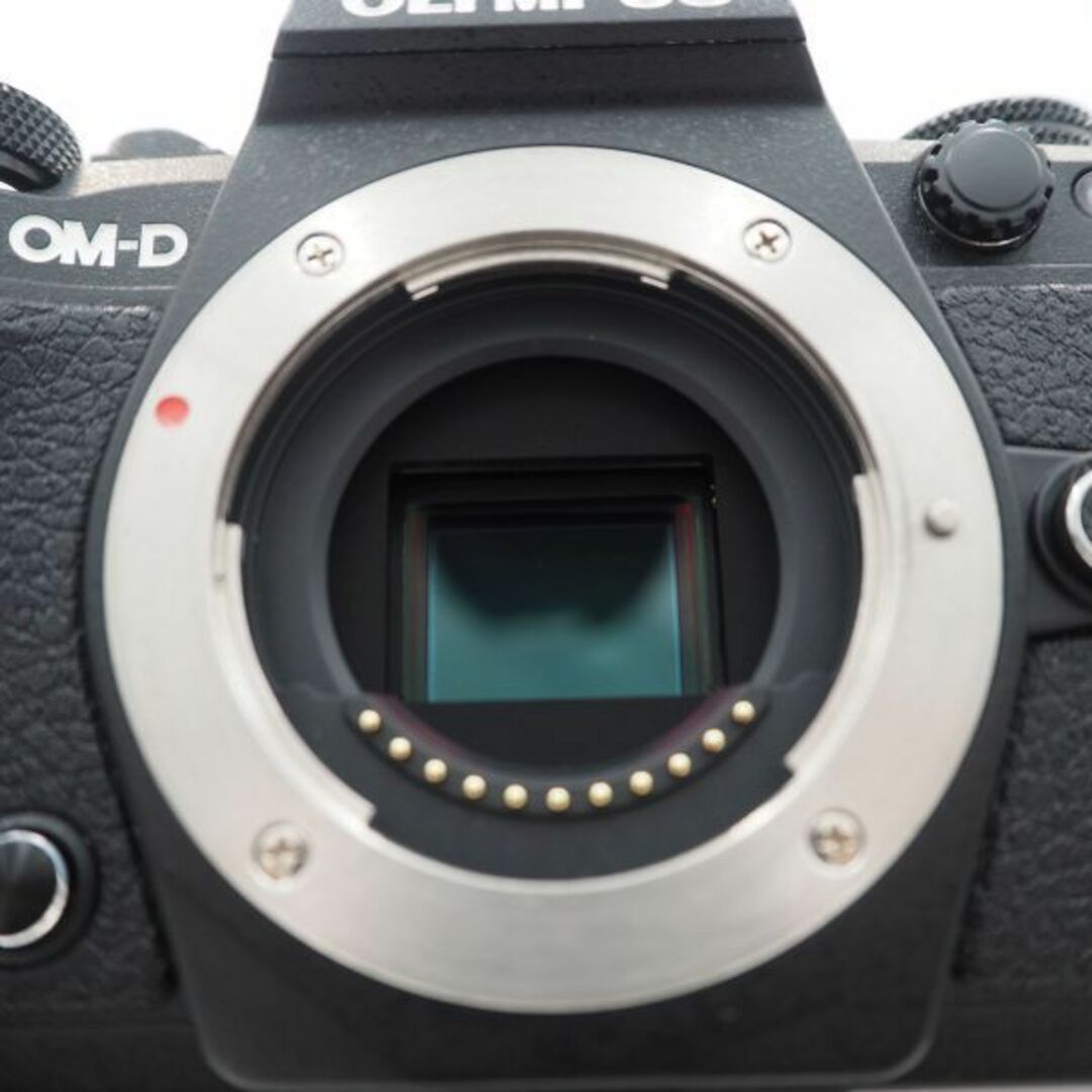 □ほぼ新品□ OLYMPUS OM-D E-M5 MarkII ブラック - ミラーレス一眼