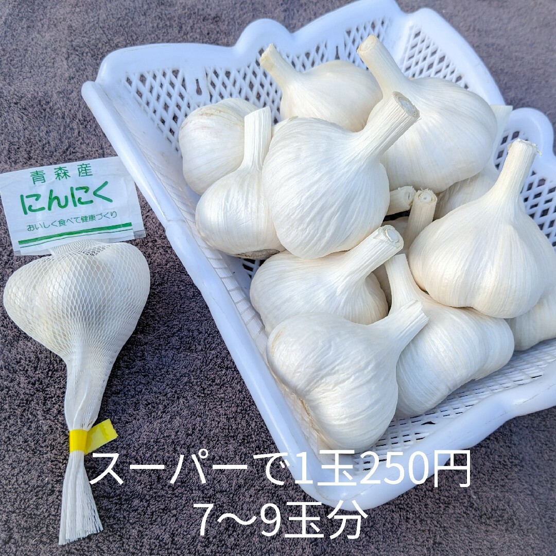 にんにく 【青森県産】福地ホワイト六片 500g 産直野菜⑦ 食品/飲料/酒の食品(野菜)の商品写真