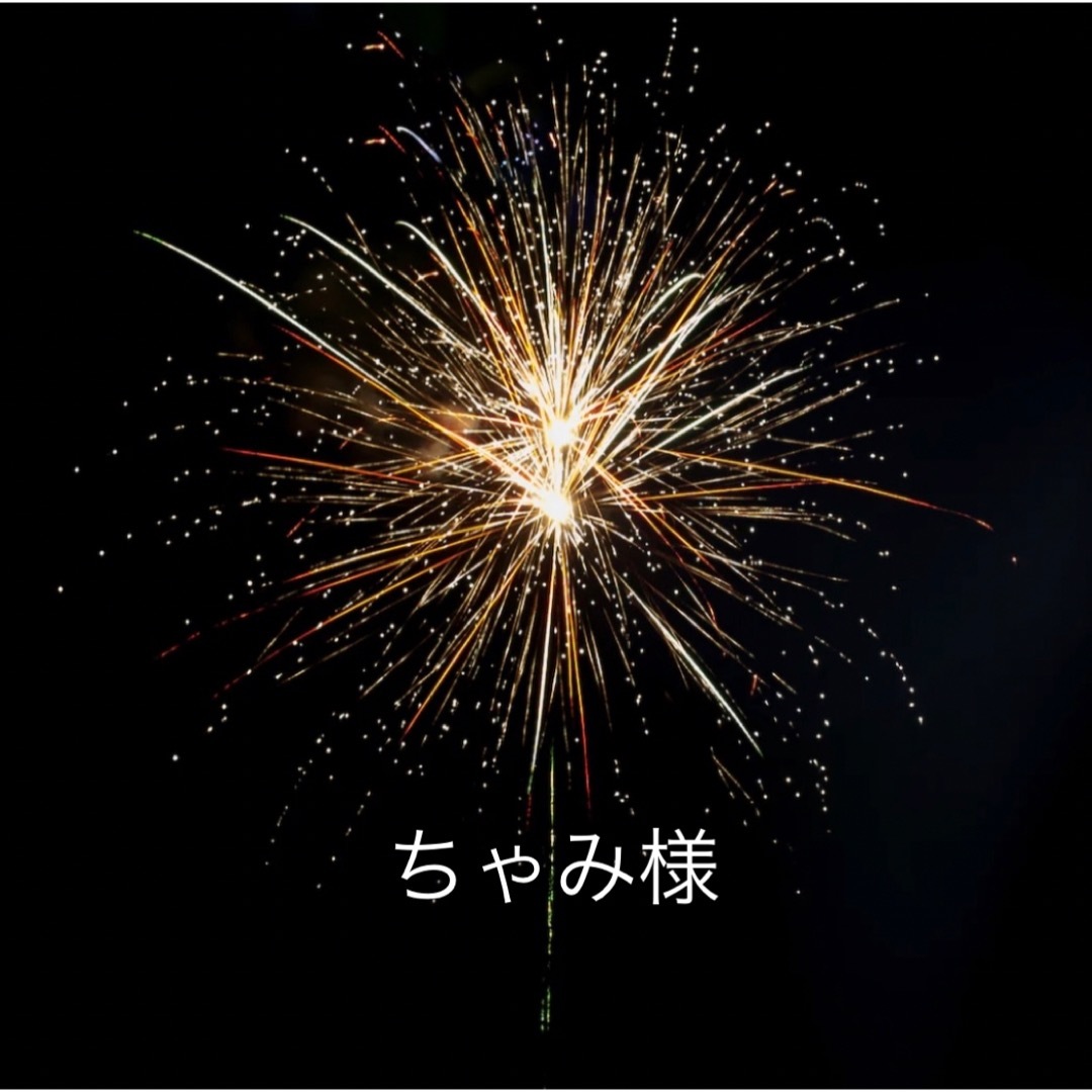 ちゃみさま専用(10/31まで)