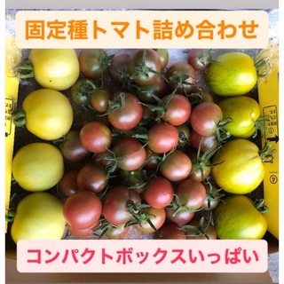 固定種トマト詰め合わせ★当日収穫&露地栽培★約1kg(野菜)