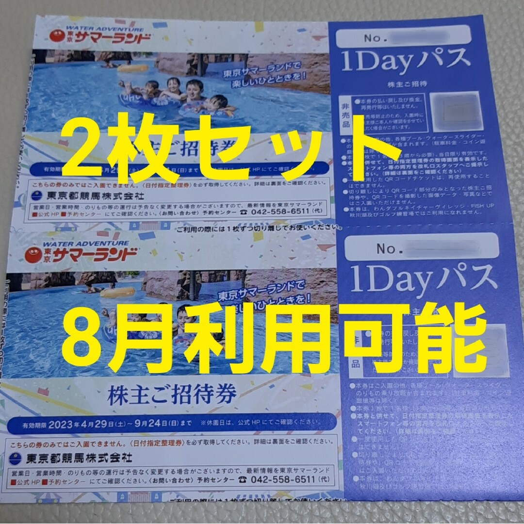 東京サマーランド1dayパス　2枚セット