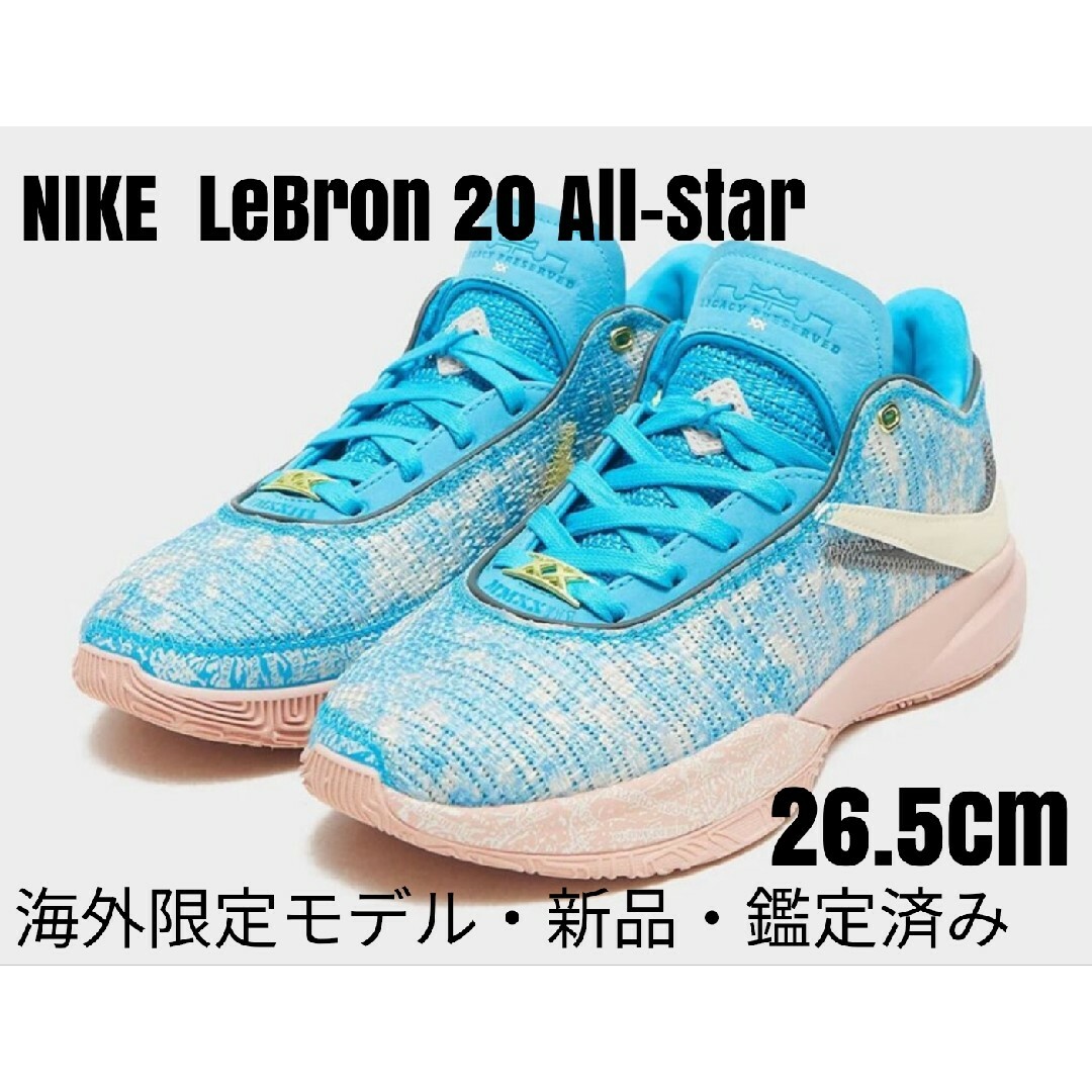 Nike LeBron 20 All-Star ナイキ レブロン オールスター