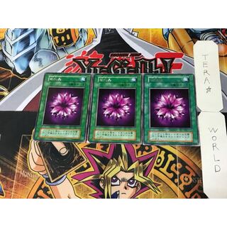 ユウギオウ(遊戯王)の紫水晶 5 初期 レア 3枚セット てら(シングルカード)
