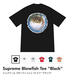 Supreme 2022SS Model Tee シュプリーム モデルTシャツ 半袖カットソー プリント ホワイト サイズXL【230622】【新古品】【me04】