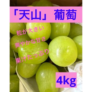 葡萄　天山4kg食品