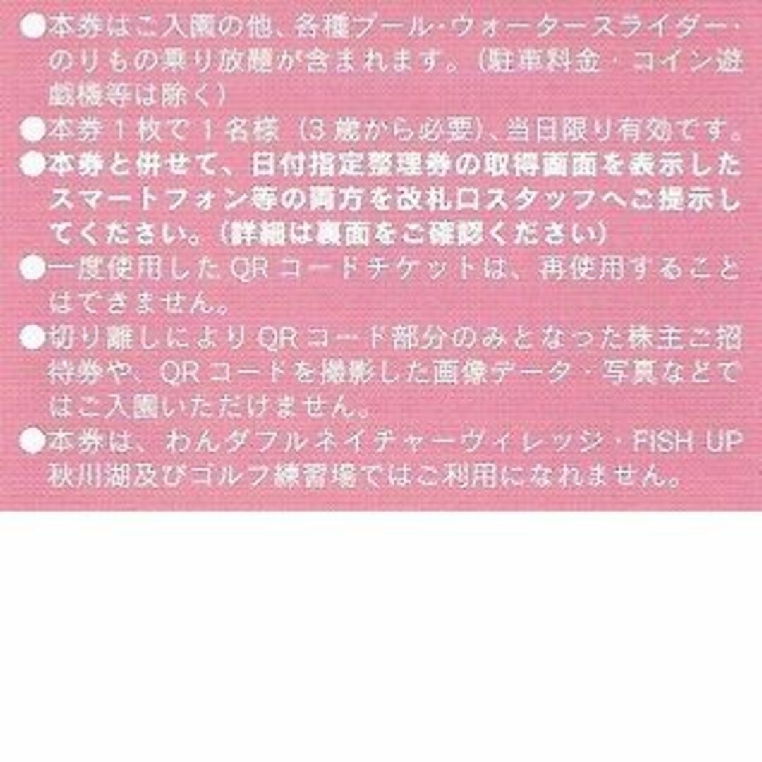 _nodam様用４枚分★東京サマーランド 1Dayパス★株主ご招待券 チケットの施設利用券(プール)の商品写真