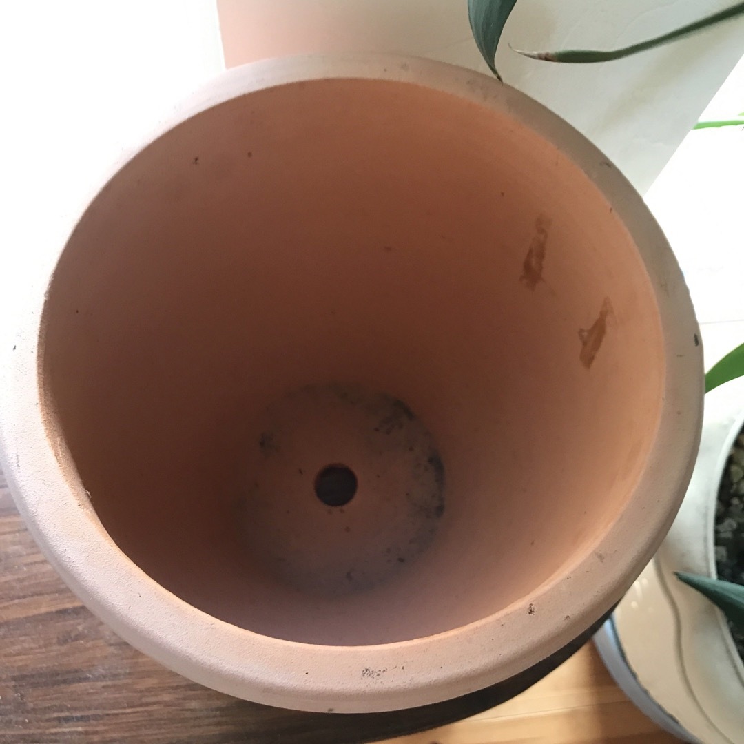 【未使用M鉢】素焼き　壺型テラコッタ鉢 植木鉢 ガーデニング 寄せ植え