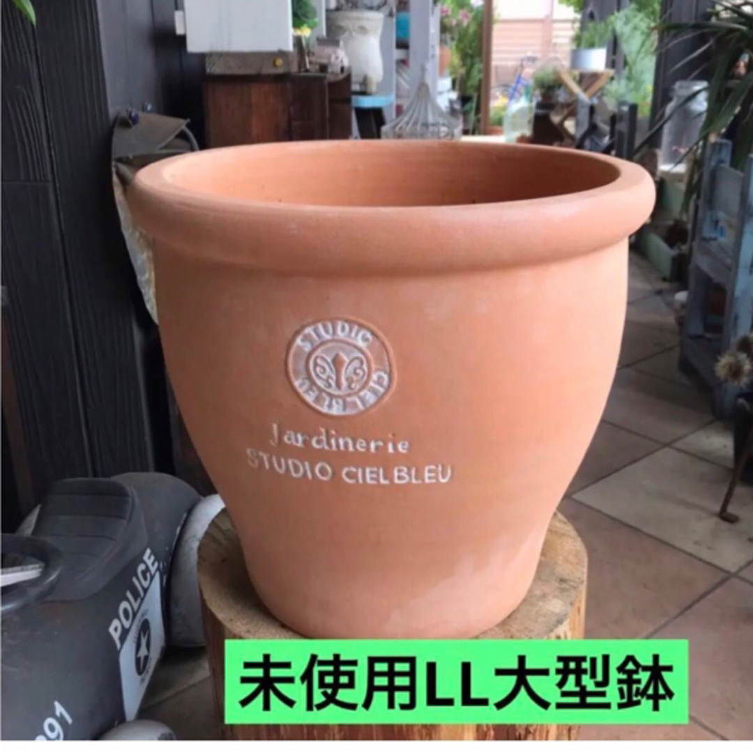 【未使用大型】素焼き 壺型 テラコッタ鉢 植木鉢 ガーデニング 寄せ植え | フリマアプリ ラクマ
