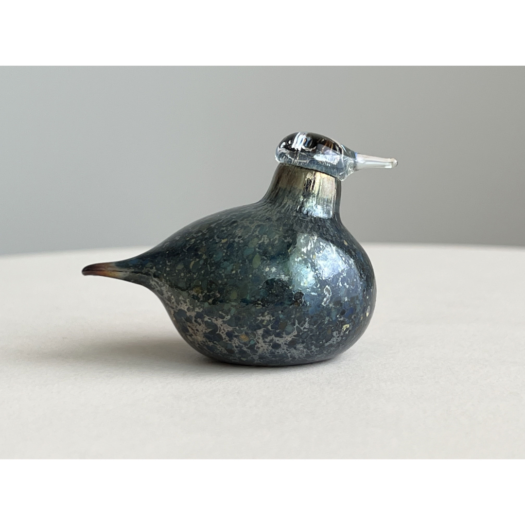 Golden-Crested Kinglet ラスター バード イッタラ-mwasaving.com