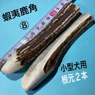 鹿の角　犬用品　小型犬用根元2本(犬)