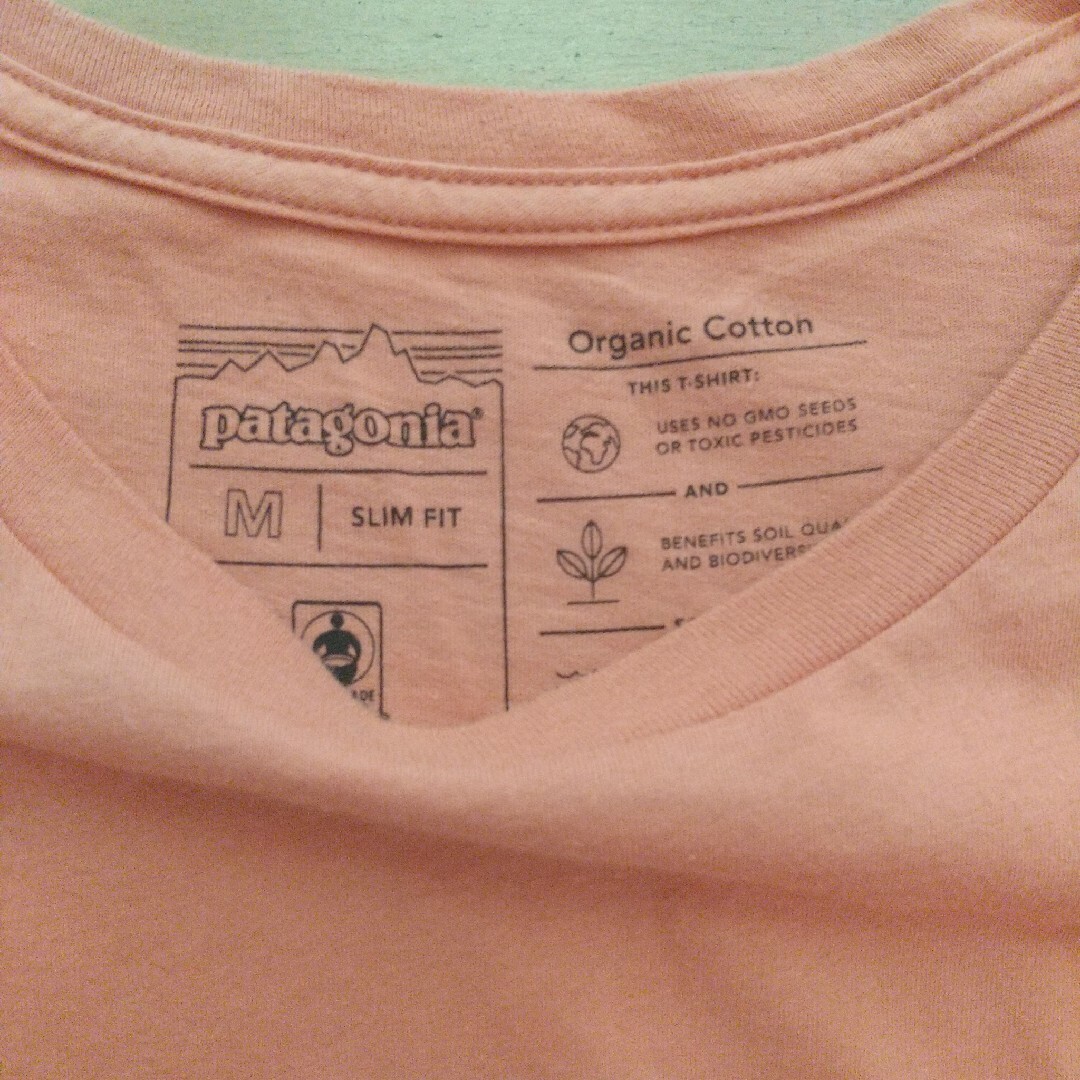 patagonia(パタゴニア)のPatagonia ロゴtシャツ メンズのトップス(Tシャツ/カットソー(半袖/袖なし))の商品写真