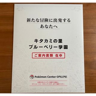 ポケモン(ポケモン)の【完売品】ゼロの秘宝　未開封　ポケセン限定オマケ多数(家庭用ゲームソフト)