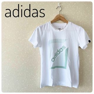 アディダス(adidas)の良品‼adidasアディダス　レディーストップス半袖Tシャツ　　綿　М(Tシャツ(半袖/袖なし))