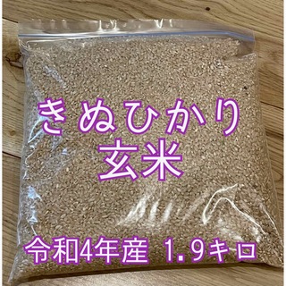 新米　きぬひかり　玄米　兵庫県産(米/穀物)