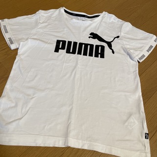 プーマ(PUMA)のプーマ　Tシャツ(Tシャツ/カットソー)