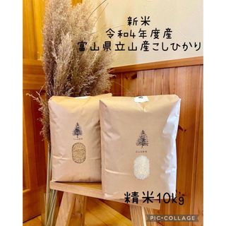 つかさ様専用ページ　令和４年産　富山県立山産コシヒカリ　10kg(米/穀物)