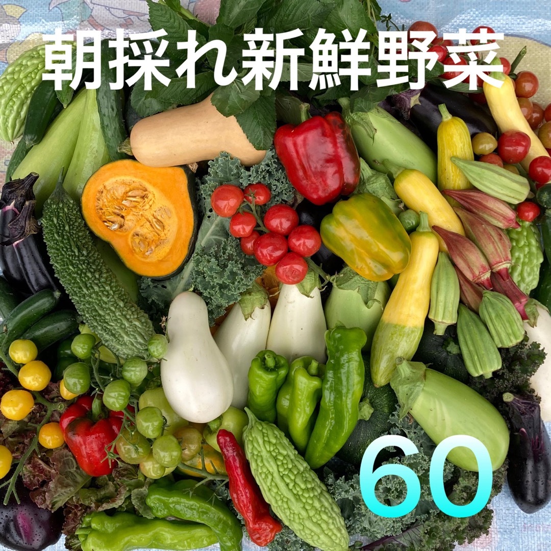 朝採り新鮮野菜詰め合わせ　60サイズ 食品/飲料/酒の食品(野菜)の商品写真