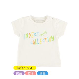 インセクトコレクション(INSECT　COLLECTION)のインセクトコレクション　ペールトーンロゴTシャツ M105 新品タグ付き(Tシャツ/カットソー)