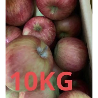 家庭用 りんご 信州産 サンつがる 箱込10kg 信州(その他)