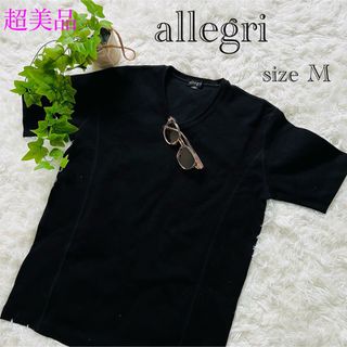 アレグリ(allegri)のアレグリallegri  イタリア製  size M  トップス 超美品(Tシャツ/カットソー(半袖/袖なし))