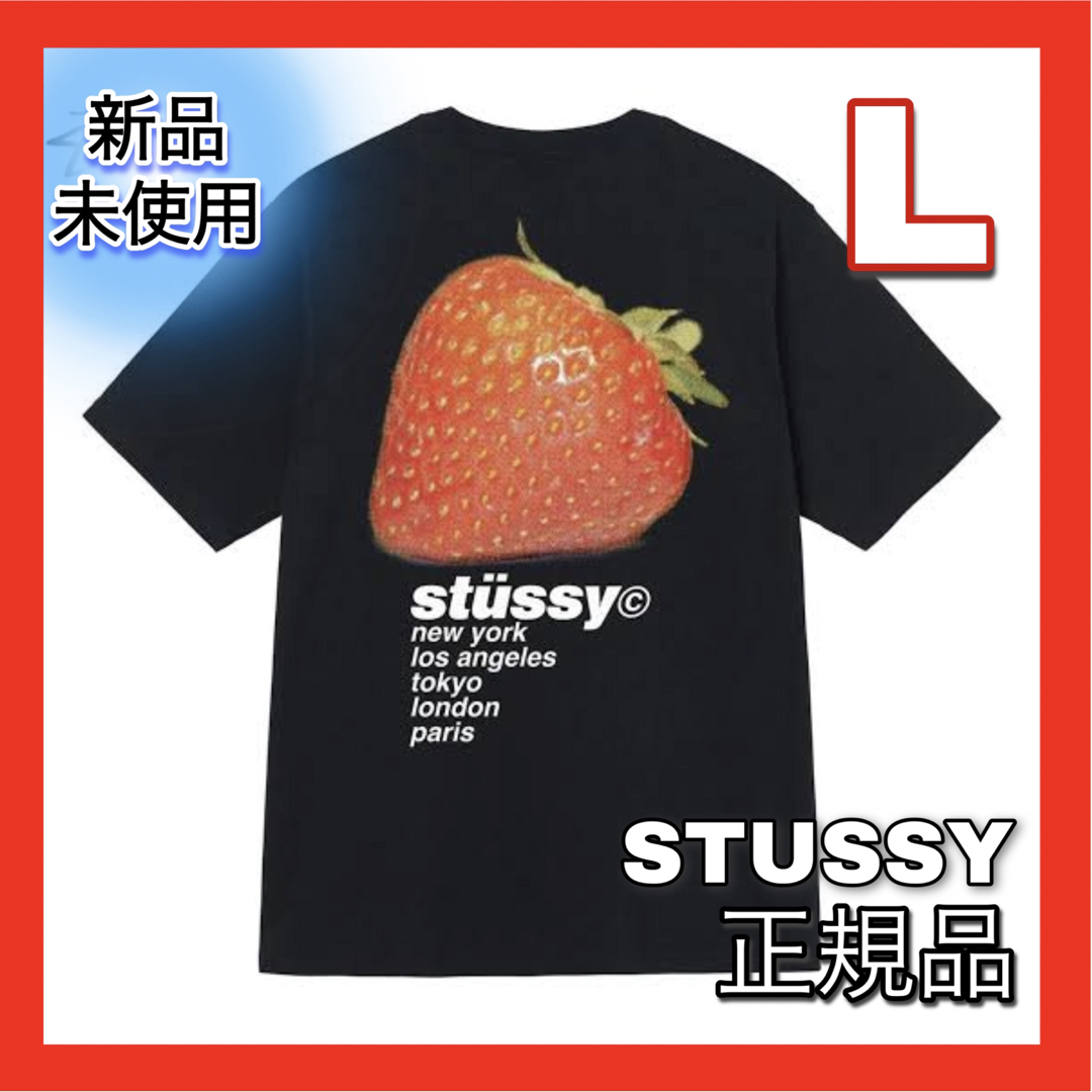 【新品】ステューシー　半袖 Tシャツ　STUSSY  ティーシャツ