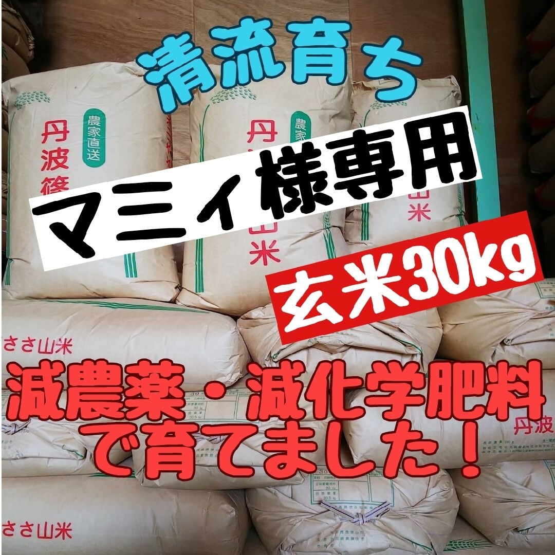 清流育ち 兵庫県丹波篠山米 玄米30kg✕10袋(減農薬,減化学肥料栽培